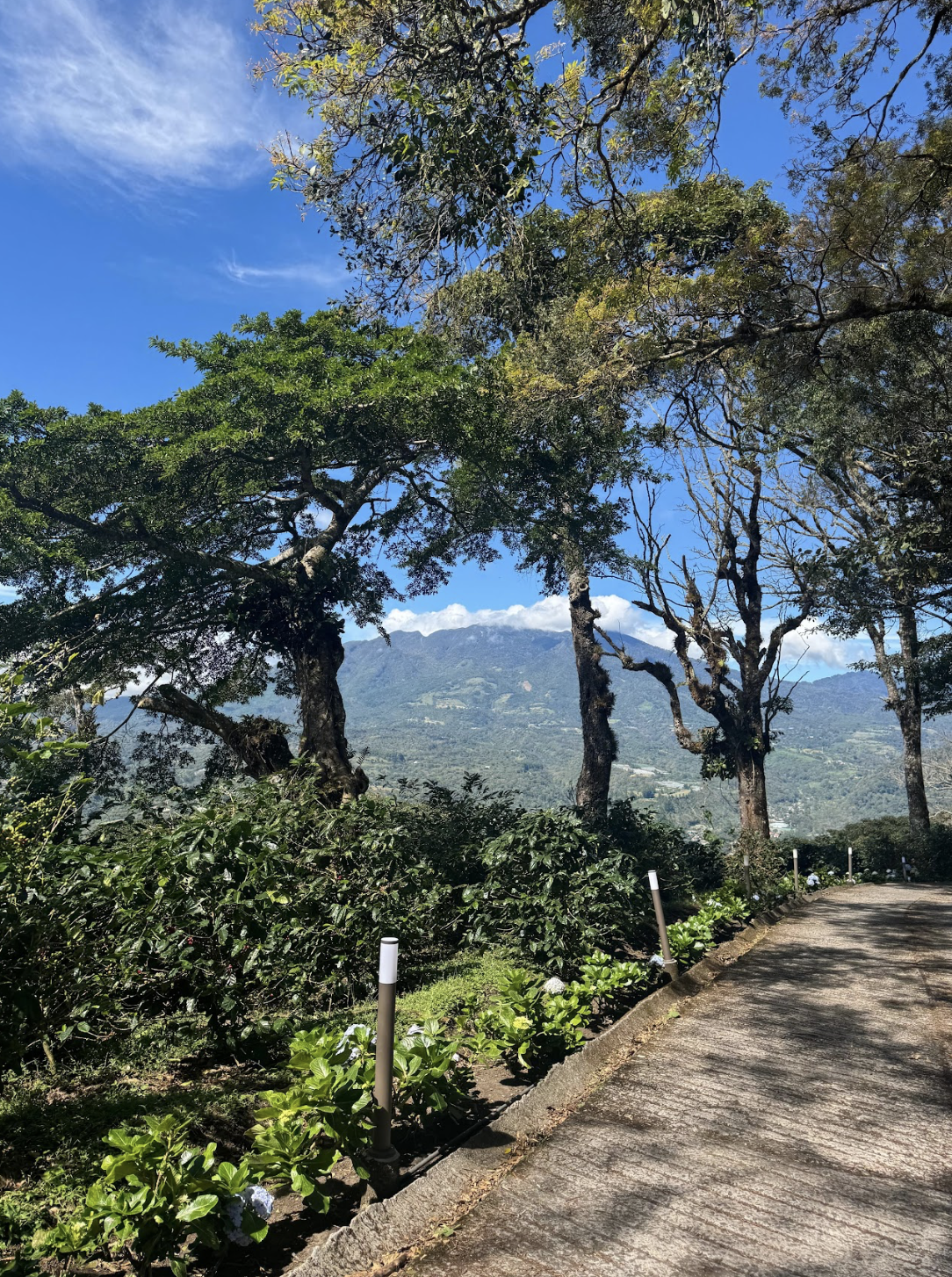 Screenshot 2025-12-08 at 1.29.01 pm Panama